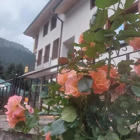 камината Pensiune