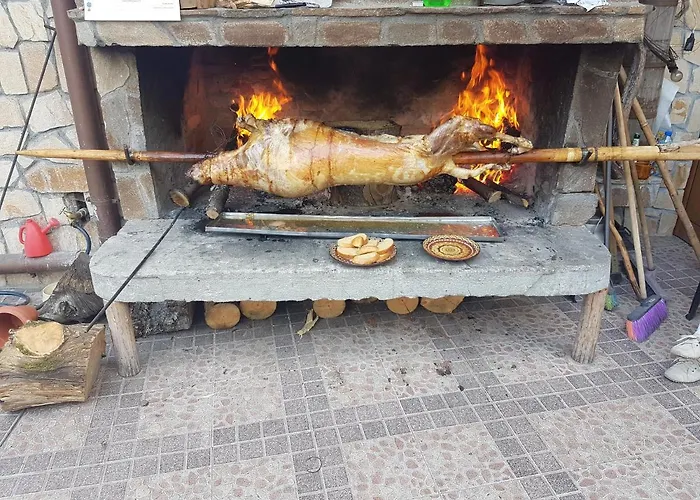 камината Πανσιόν Trigrad