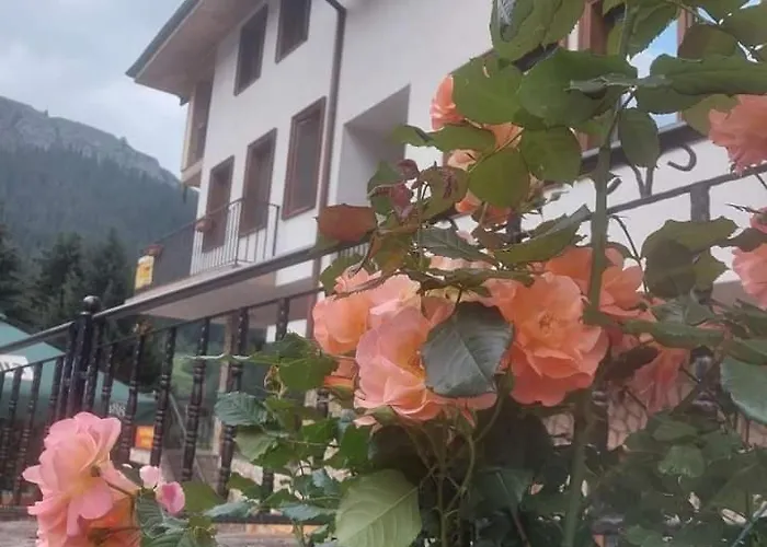 камината Πανσιόν