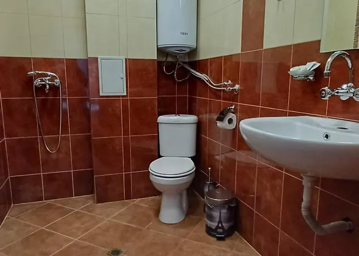 камината Πανσιόν 3*